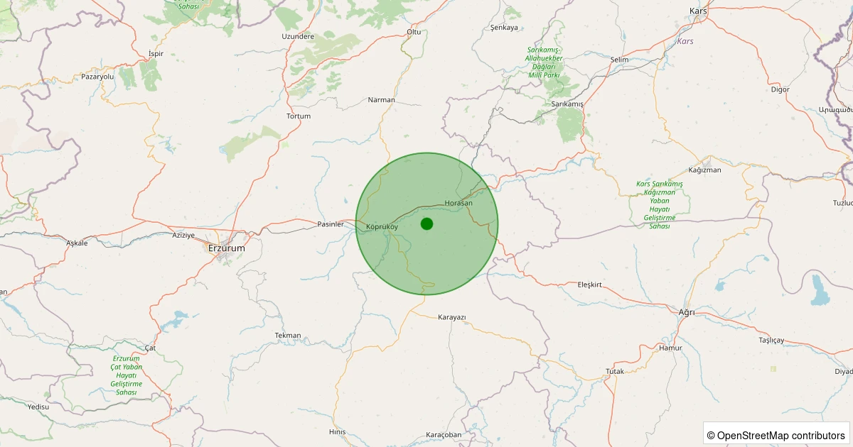 08 Kasım 2025 saat 09:38 - Horasan - 2.30ml depreminin harita gösterimi