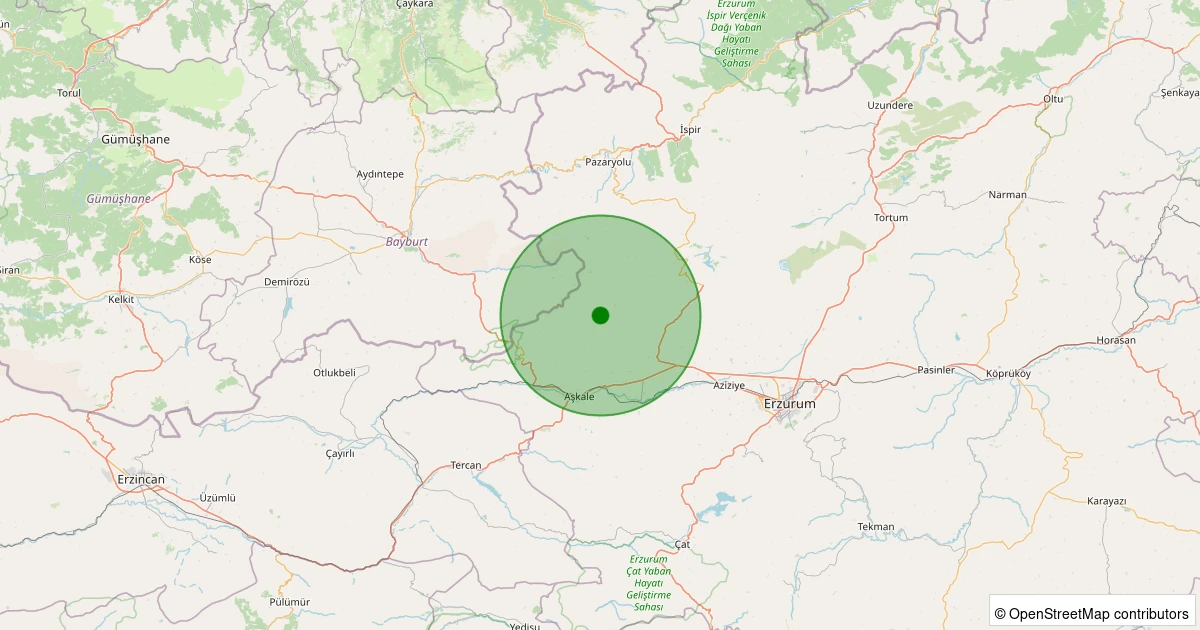 11 Kasım 2025 saat 17:48 - Aziziye - Aşağıcanören - 1.10ml depreminin harita gösterimi