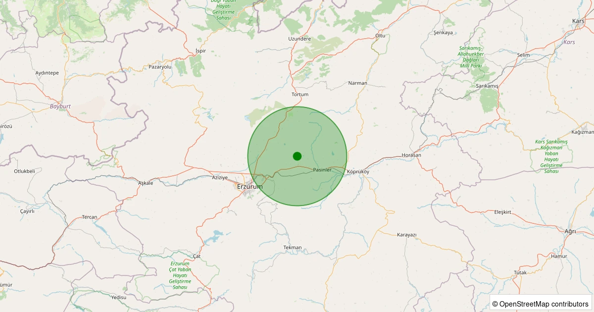 14 Kasım 2025 saat 12:36 - Pasinler - Baldızı - 1.30ml depreminin harita gösterimi