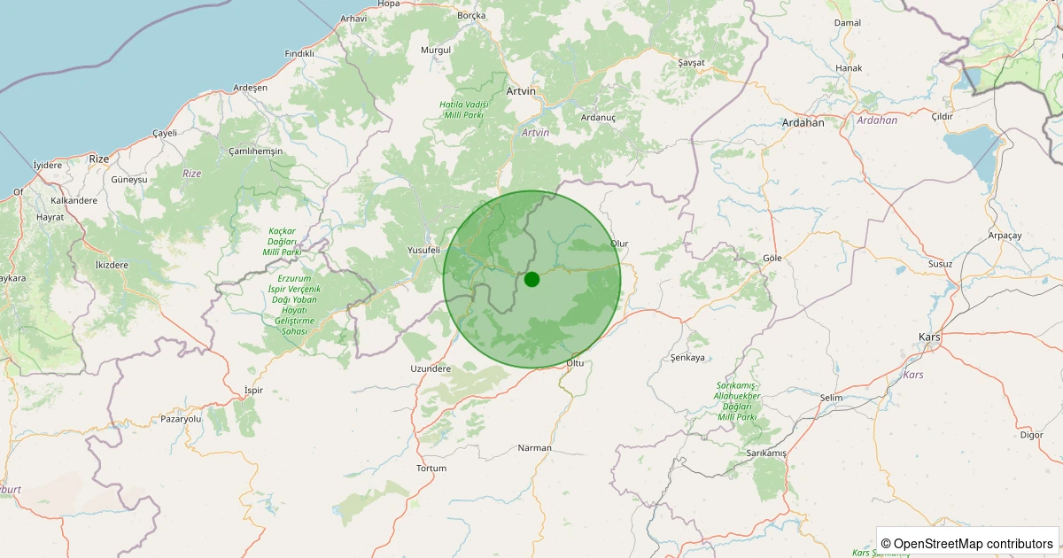 28 Kasım 2025 saat 20:03 - Oltu - Ayvalı - 1.00ml depreminin harita gösterimi